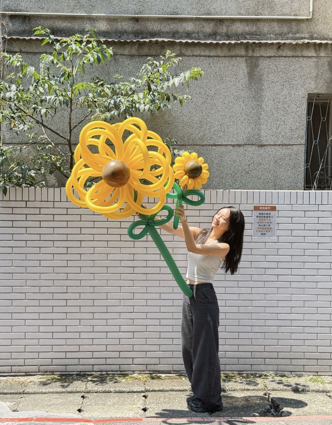 向日葵氣球花